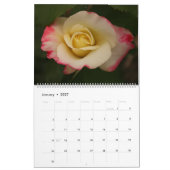Rozen verbluffende fotografie 2020 kalender (Jan 2027)