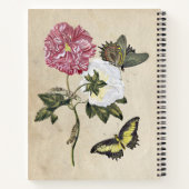  Rozen Vlinder Botanische Kunst Maria Merian Notitieboek (Achterkant)