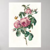 Rozen & Vlinders  Botanische Kunst Print (Voorkant)