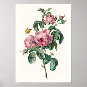 Rozen & Vlinders  Botanische Kunst Print
