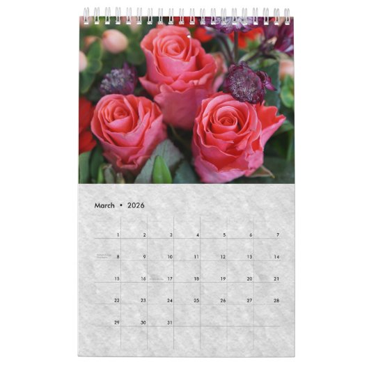 Rozen voor de zomer kalender (Mar 2026)