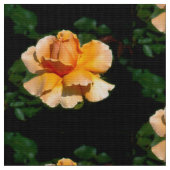 Rozen voor de zomer stof (Close Up)