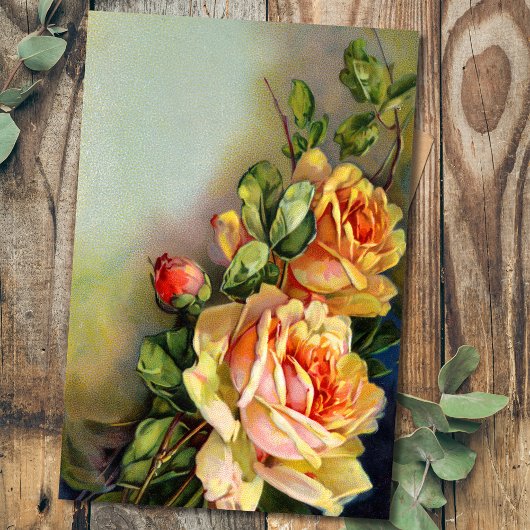  Rozen voor goud en Blush Tissuepapier