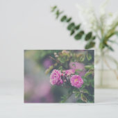 Rozen voor huisvuil briefkaart (Staand voorkant)