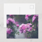 Rozen voor huisvuil briefkaart (Voorkant / Achterkant)