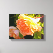 Rozen voor landdoorsnede canvas afdruk (Voorkant)