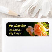 Rozen voor landdoorsnede etiket (Insitu)