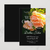 Rozen voor landdoorsnede kaart (Voorkant / Achterkant)