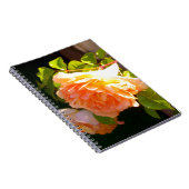 Rozen voor landdoorsnede notitieboek (Rechterzijde)