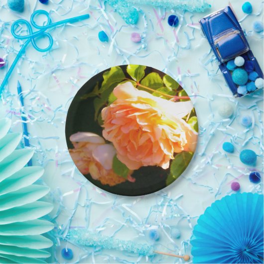 Rozen voor landdoorsnede papieren bordje (Feest)