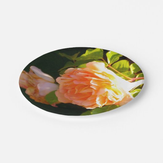 Rozen voor landdoorsnede papieren bordje (Gekanteld)