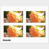 Rozen voor landdoorsnede rechthoekige sticker (Vel)