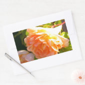 Rozen voor landdoorsnede rechthoekige sticker (Envelop)