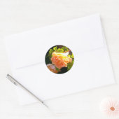 Rozen voor landdoorsnede ronde sticker (Envelop)