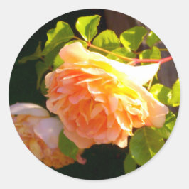 Rozen voor landdoorsnede ronde sticker