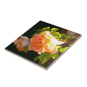 Rozen voor landdoorsnede tegeltje (Zijkant)