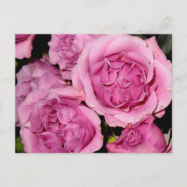 Rozen voor moeder briefkaart