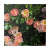 Rozen voor peach-drivers tegeltje (Voorkant)