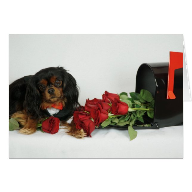 Rozen voor u (Voorkant Horizontaal)