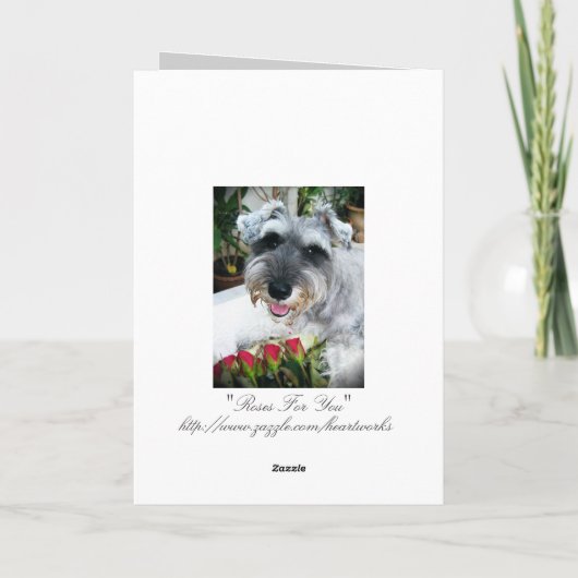 Rozen voor u - dank u bedankkaart (Achterkant)