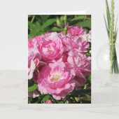 Rozen Vouwkaart Kaart (Voorkant)