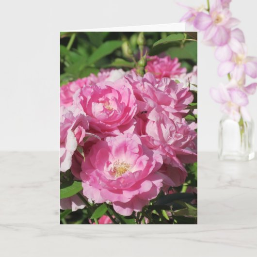 Rozen Vouwkaart Kaart (Orchidee)