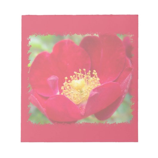 Rozen zijn een rode laptop notitieblok (Voorkant)