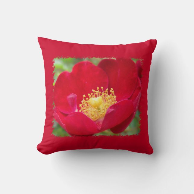 Rozen zijn een rode piloot kussen (Voorkant)