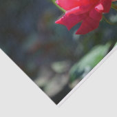 Rozen zijn NY State Flower Tissuepapier (Detail)