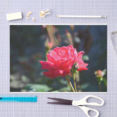 Rozen zijn NY State Flower Tissuepapier (Craft)