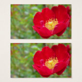 Rozen zijn rode Bladwijzer Visitekaartje (Voorkant /achterkant)