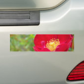 Rozen zijn rode Bumpersticker (Op auto)