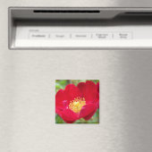 Rozen zijn rode magneet (Insitu (Vaatwasser))