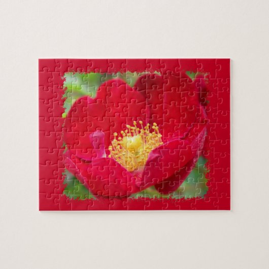 Rozen zijn rode puzzels (Horizontaal)