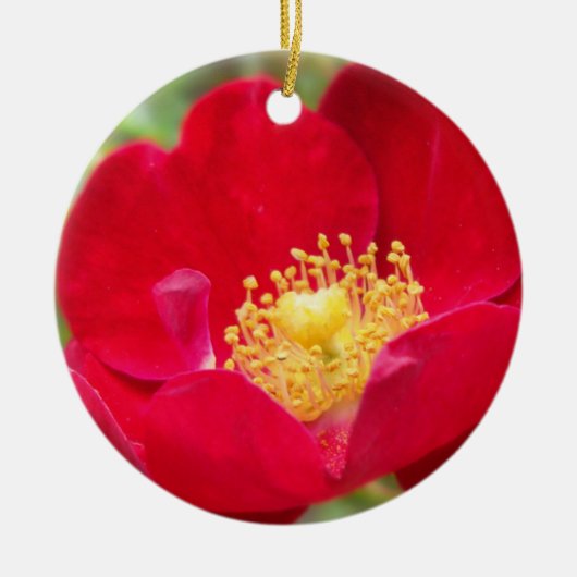 Rozen zijn rode sierogen keramisch ornament (Voorkant)