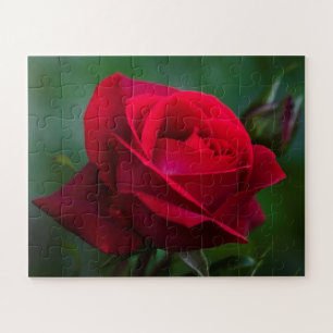 Rozen zijn rood, 16 x 20 inch, eenvoudig legpuzzel