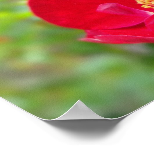 Rozen zijn rood afdrukken poster (Hoek)