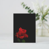 Rozen zijn rood briefkaart (Staand voorkant)