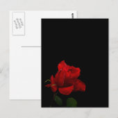 Rozen zijn rood briefkaart (Voorkant / Achterkant)