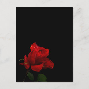 Rozen zijn rood briefkaart