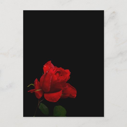 Rozen zijn rood briefkaart (Voorkant)