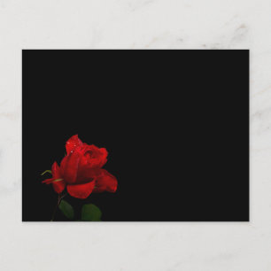 Rozen zijn rood briefkaart