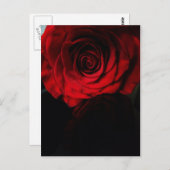 Rozen zijn rood.... briefkaart (Voorkant / Achterkant)