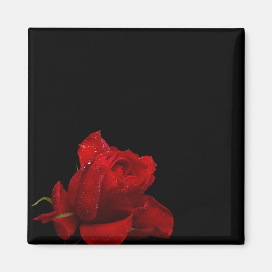 Rozen zijn rood magneet (Voorkant)