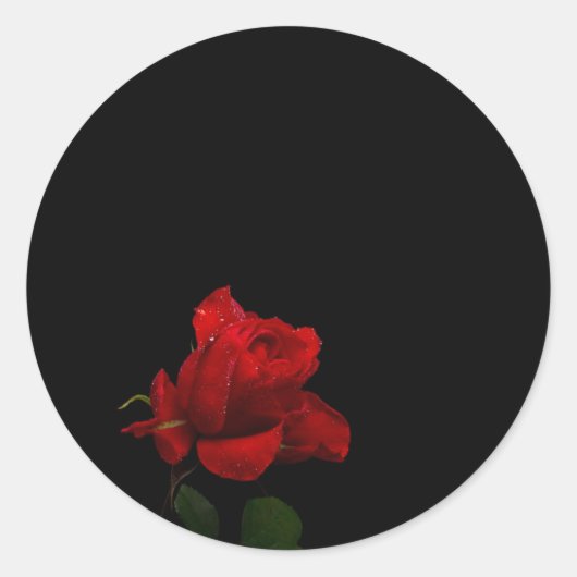 Rozen zijn rood ronde sticker (Voorkant)