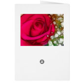 Rozen zijn rood roze Fuschia Artistic & Unique (Achterkant)