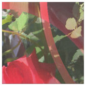 Rozen zijn rood.... stof (Close Up)
