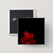 Rozen zijn rood vierkante button 5,1 cm (Voorkant /achterkant)