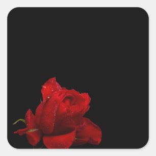 Rozen zijn rood vierkante sticker