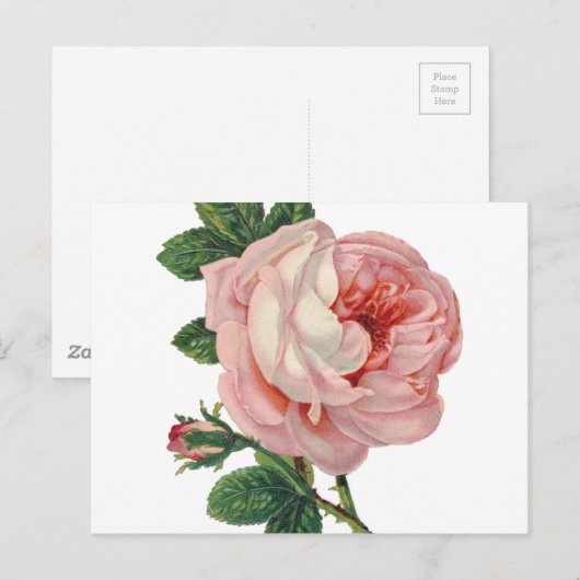 Rozen zijn roze briefkaart (Voorkant / Achterkant)